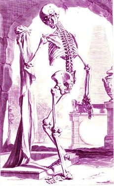 Skeleton, Bidloo